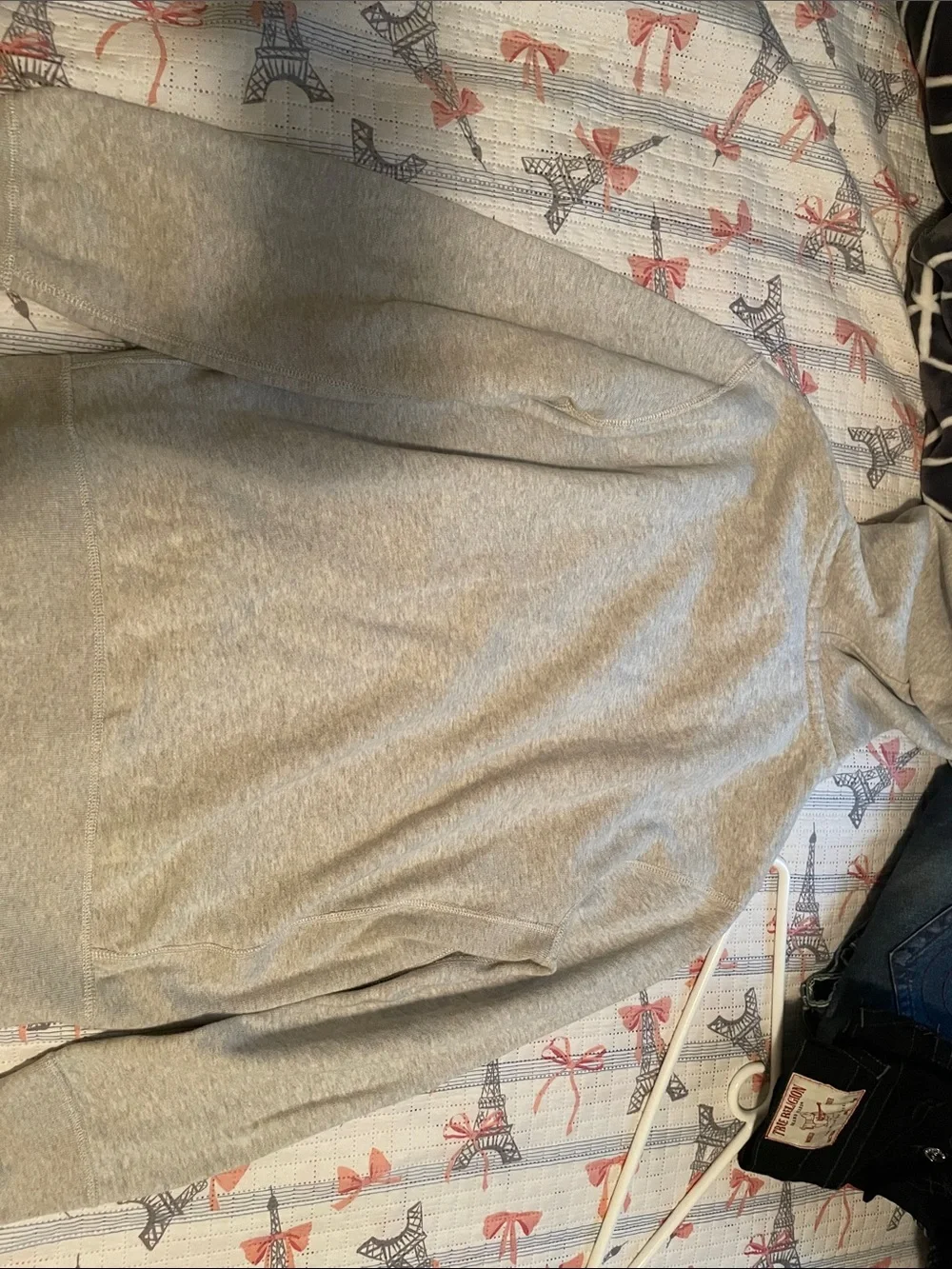 Polo by Ralph Lauren Light Gray Full-Zip Hoodie